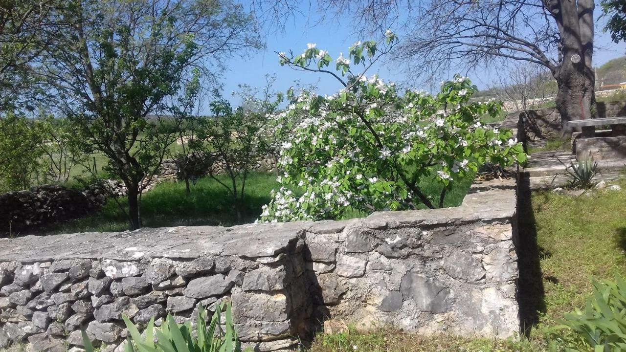 Family Friendly Holiday Home "Ana" Šibenik Kültér fotó
